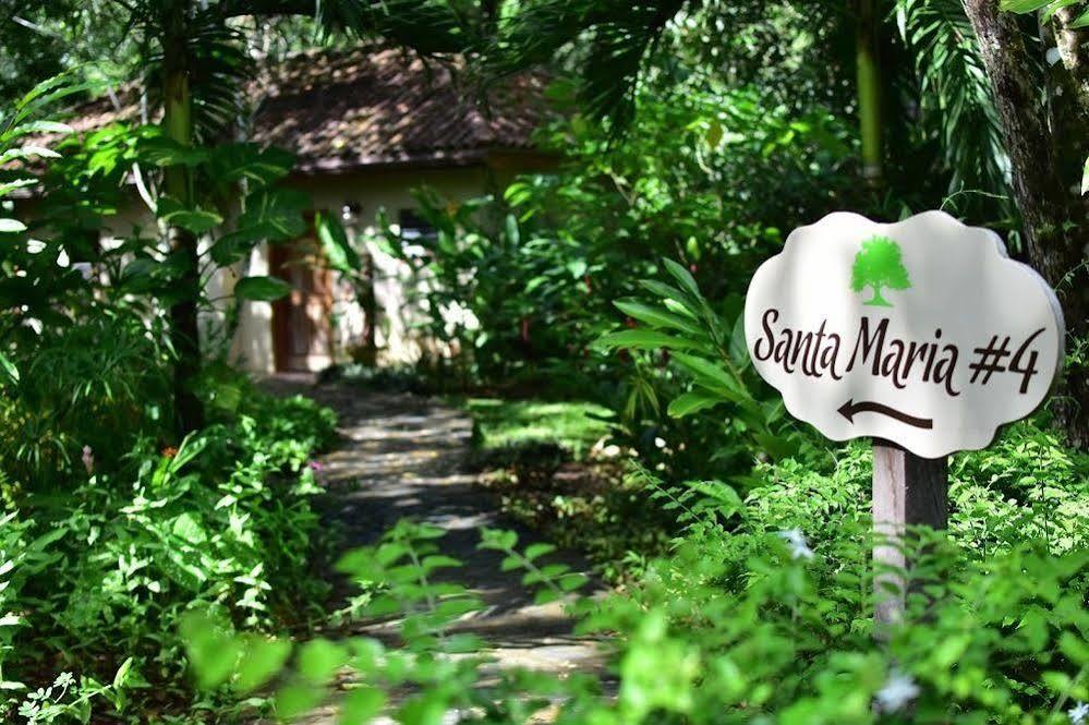 Mystic River Resort San Ignacio Exteriör bild